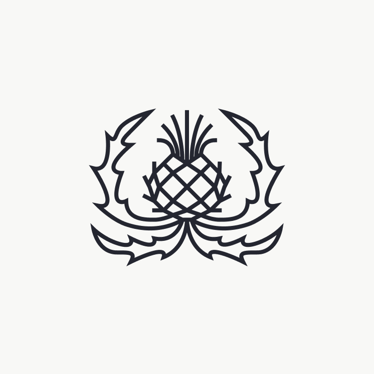 Black lines vector drawing of a cardoon that looks like a crest or a logo with a more geometric and symmetric look to it.