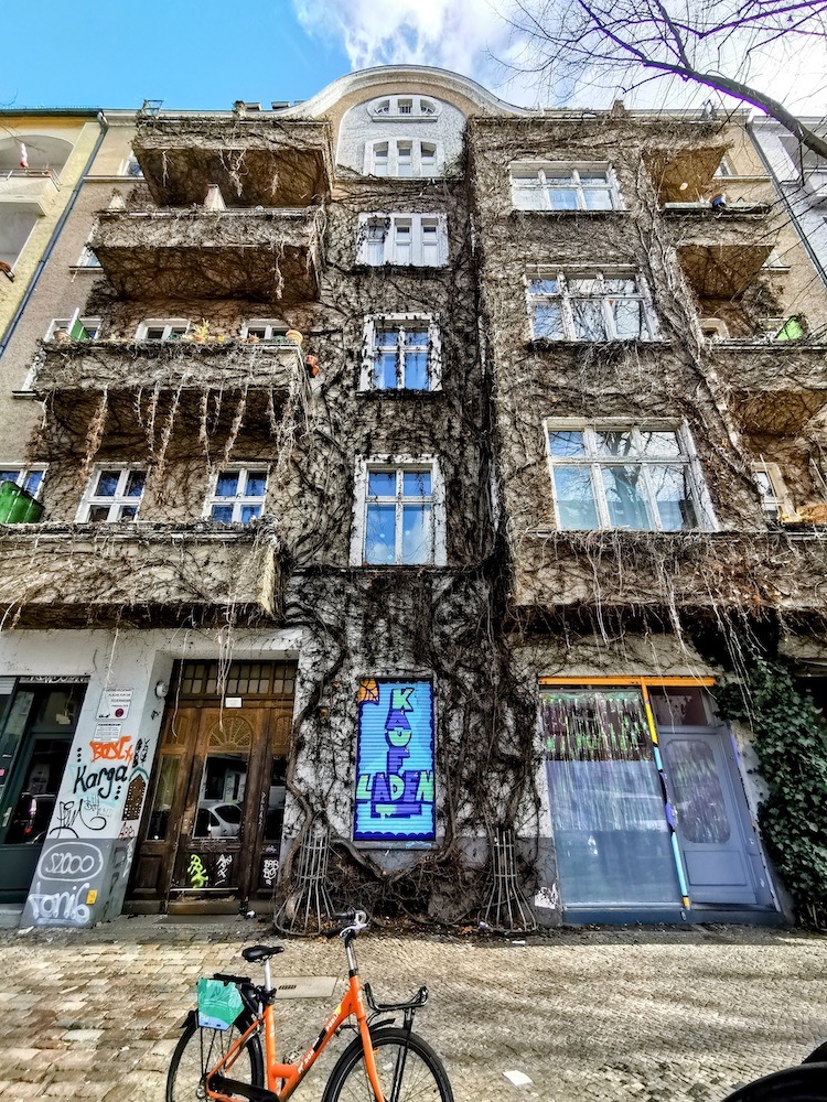 Façade photo, taken from below from the sidewalk up, of a building covered with dried up ivy.