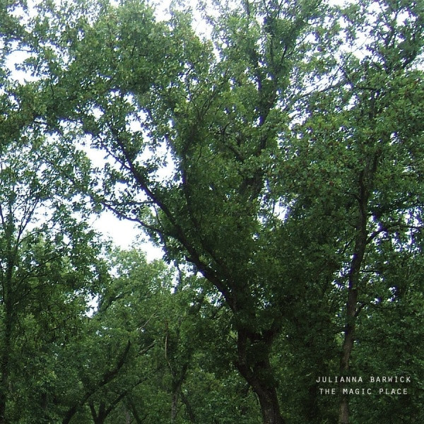 Photo of tree cups, slightly blurred from camera motion, and on the bottom right corner, in small, geometric, minimal font size the names of the artist and album.