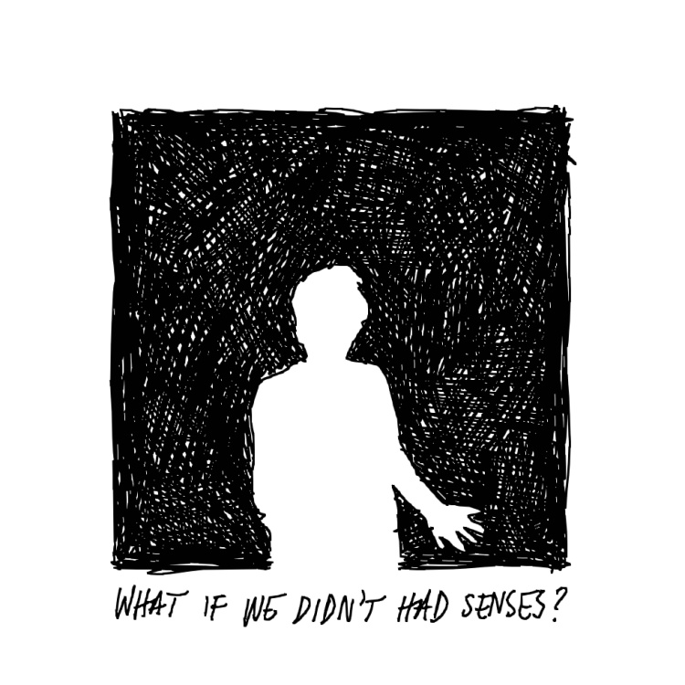 Image of a human silhouette in the darkness with the quote 'What if we didn't had senses?'